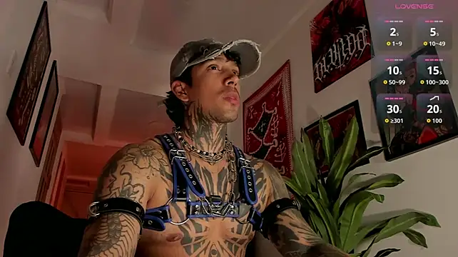 TigerStripes1_ live cam preview