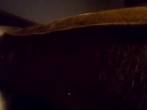 Cushington live cam on StripChat