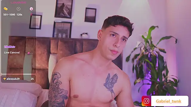 I_Gabriel webcam