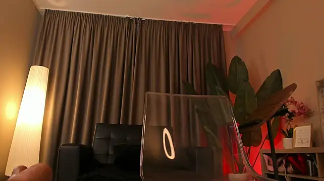 torri_kitten webcam