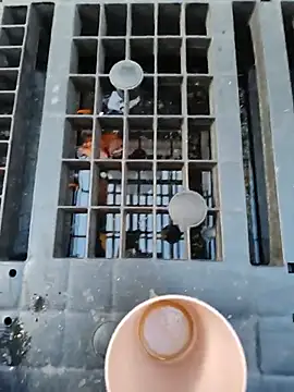 Hgay6935 webcam
