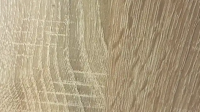 NoFace_Model webcam