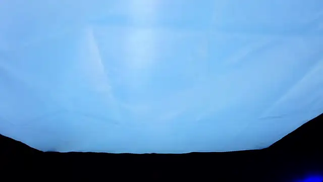 PerryKitty webcam