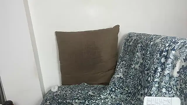 velvetvista webcam