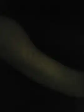 ClarissaGlow webcam