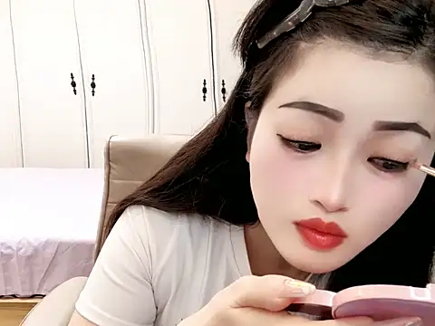 sjsibi webcam