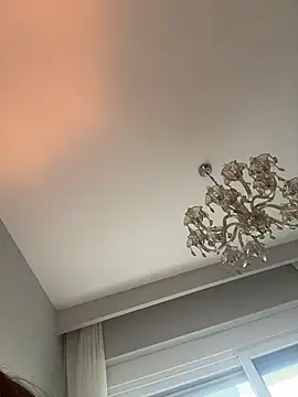 DarkDesin webcam