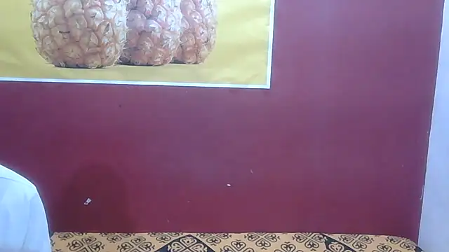perfect-couple25 webcam