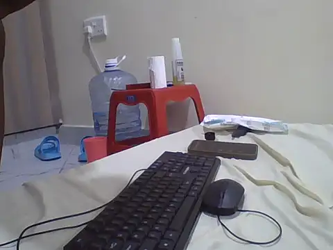 Swt_pie webcam