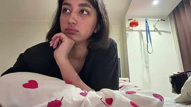 PaintedDisplay live cam preview