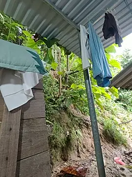 Coral_hi webcam