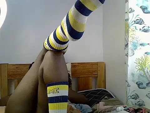 Holyshan webcam