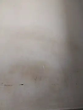 Tall-goodness webcam