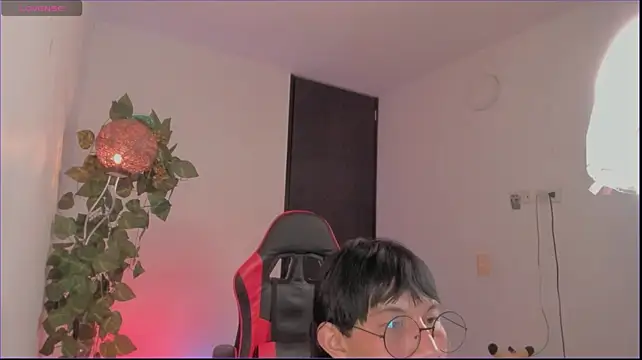 odelei webcam