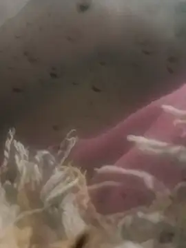 PB_Aadi live cam preview