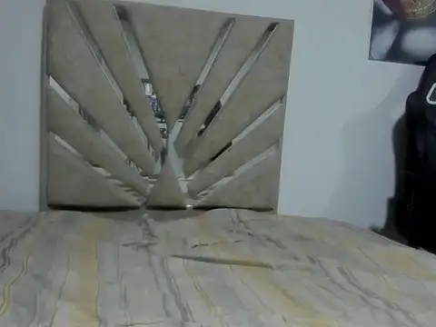 palmer_zaens webcam