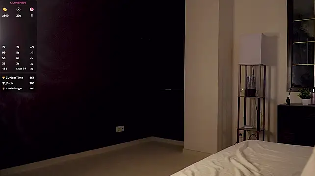 SanySenise webcam