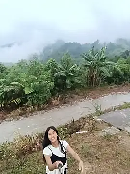 Hoa-tuylip