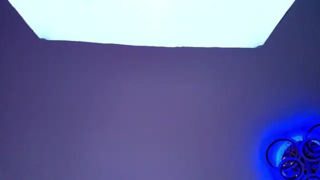PerryKitty webcam