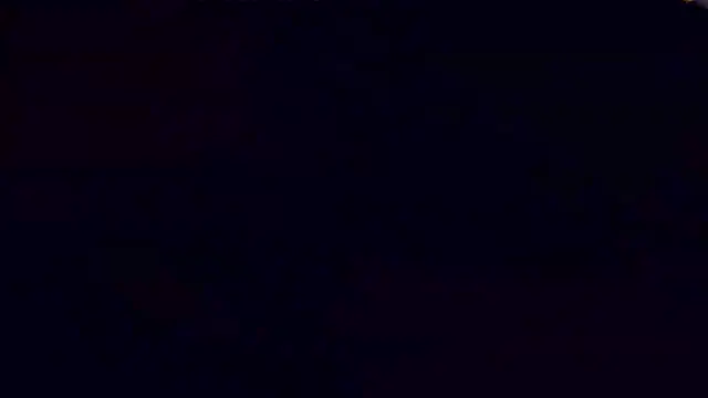 PlayfulShow live cam preview
