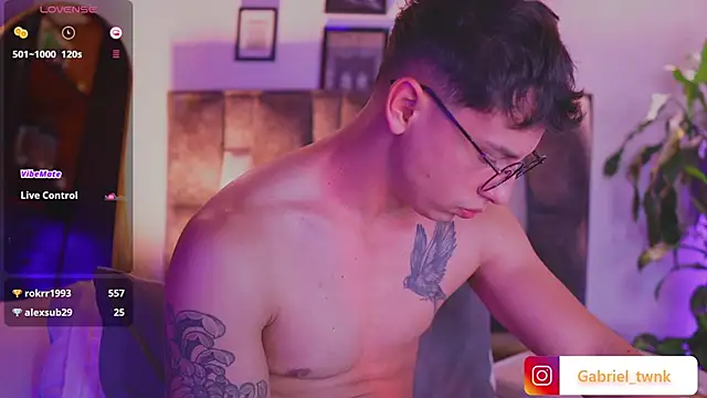 I_Gabriel webcam