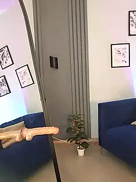 evazul webcam