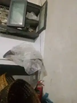 mylaky9 webcam