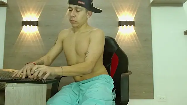 Gaeliitto webcam