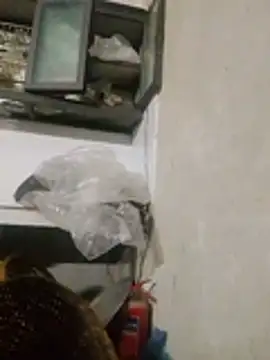 mylaky9 webcam