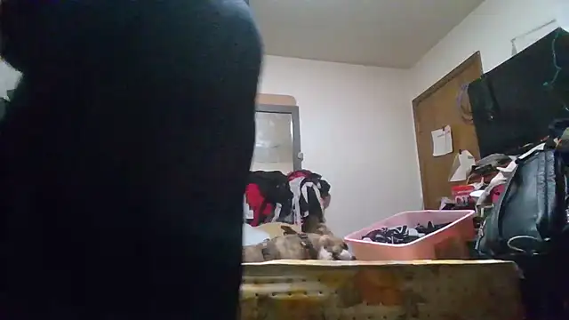 slinginbigD webcam