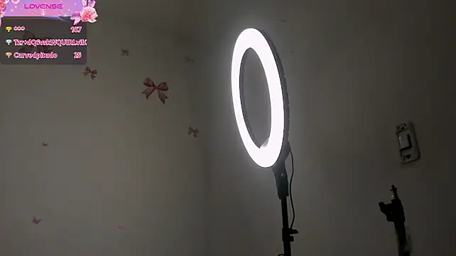 MarilynDupont webcam