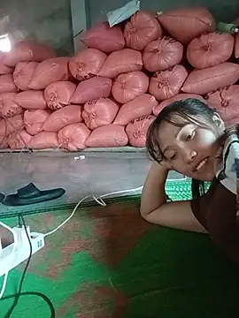 Havana- webcam