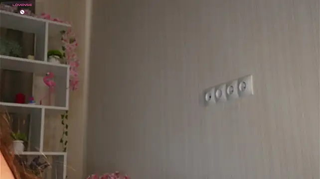 Mirelune webcam