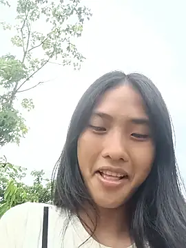 Hoa-tuylip webcam