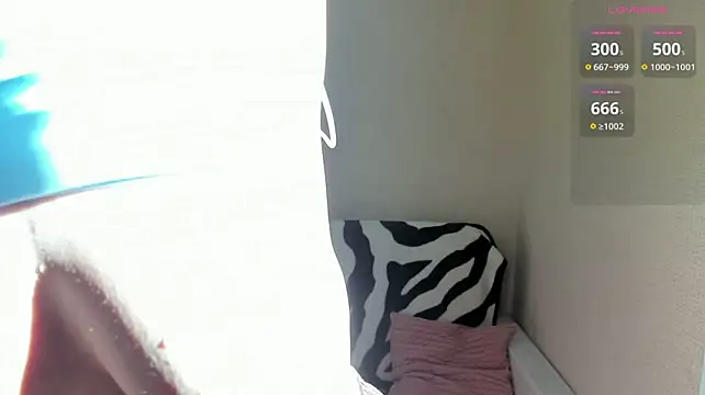 ErlinaBuoy webcam