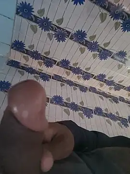 Ritz-1 webcam
