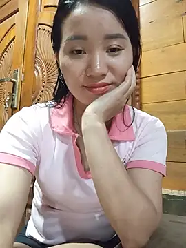 Td3di webcam