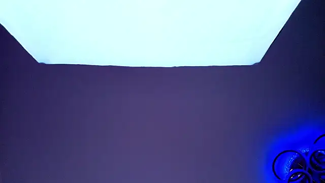 PerryKitty webcam