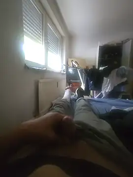 Fonse1860 webcam