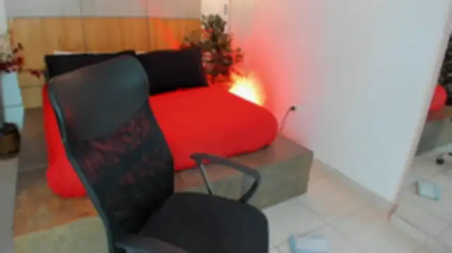 LevinFox webcam