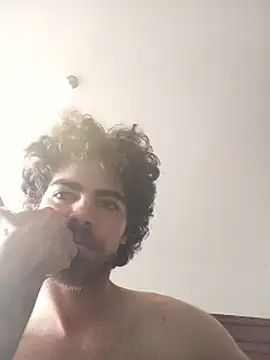 TheAgentVisage webcam