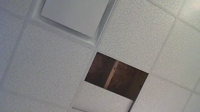 eurodiznee webcam