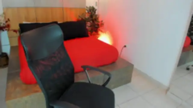 LevinFox webcam