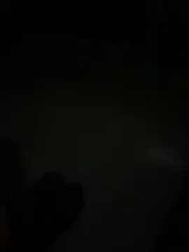 gatitotwunk
