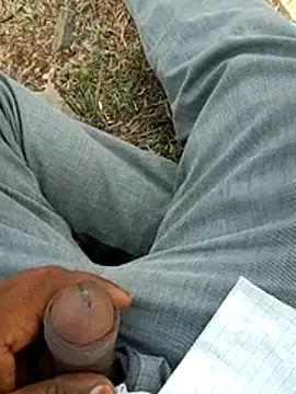 dickraj-8 webcam