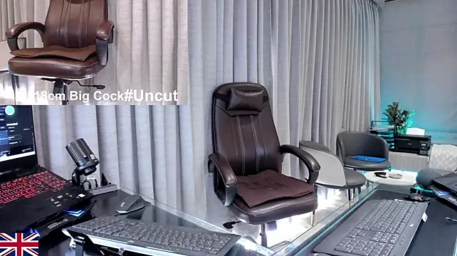 OnlineBossUK webcam