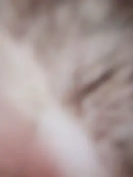 -Tara-a live cam preview