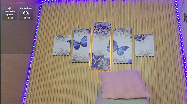 Moonceleste webcam