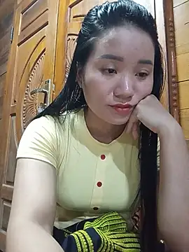Td3di webcam