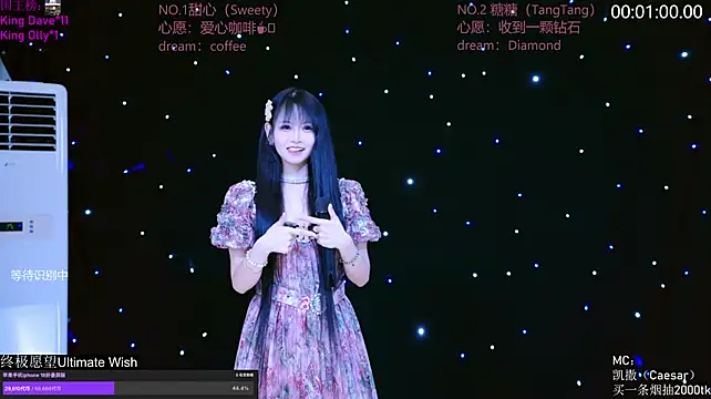 CCTW-100